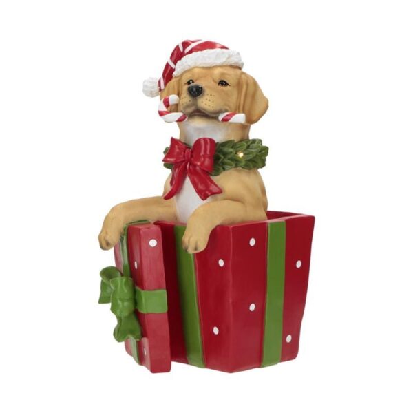 TimStor - Cane in confezione regalo poly con led multicolore 23x19,5x38,7 cm