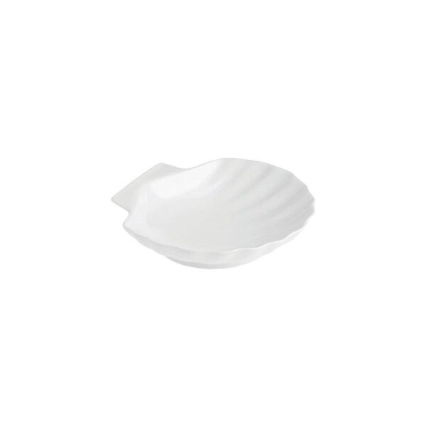La Porcellana Bianca - Conchiglia 10 cm