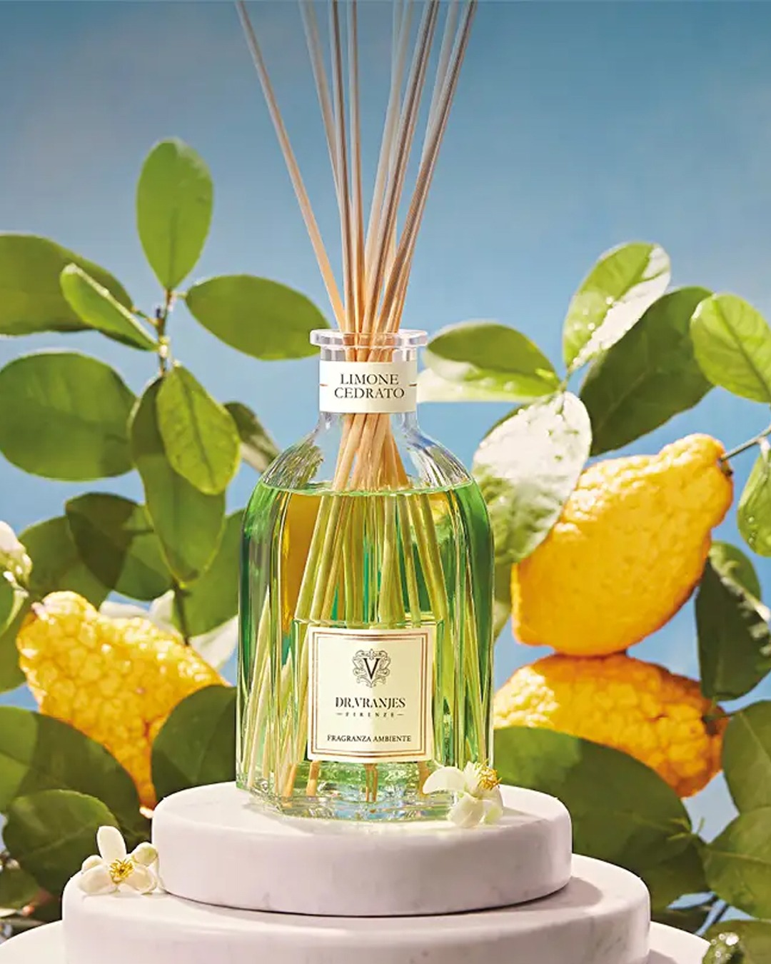 banner dr vranjes limone cedrato mobile